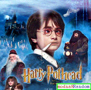 harrypothead.gif